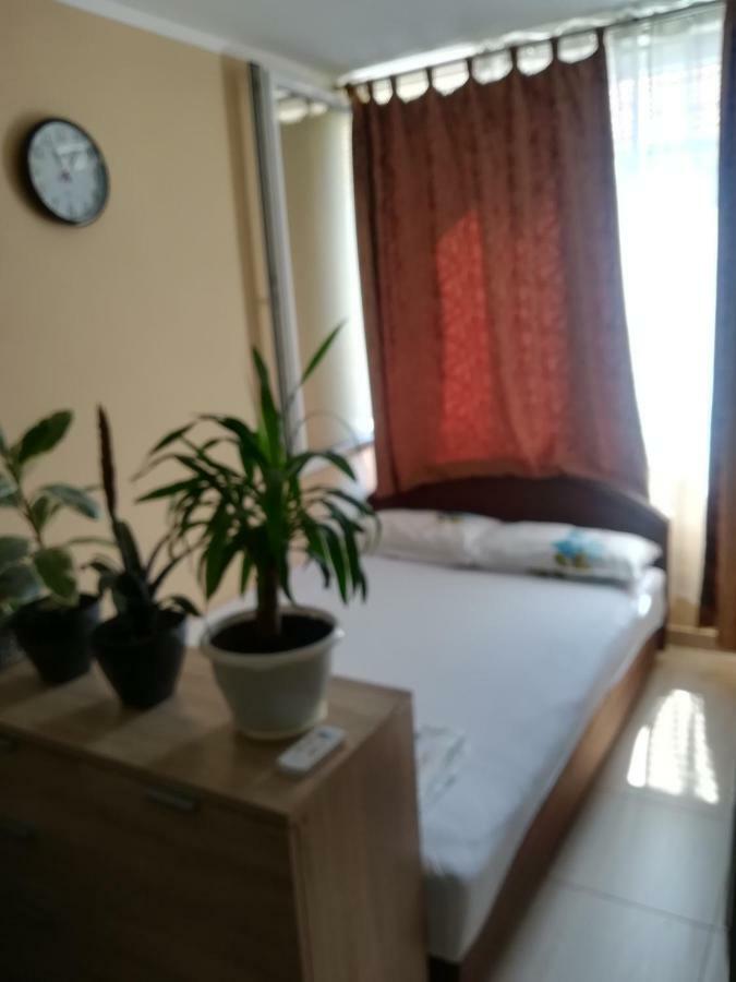 Apartments Vis Jaz Budva Eksteriør billede